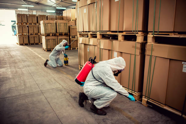 Best Cockroach Control Services  in Three Rivers, TX