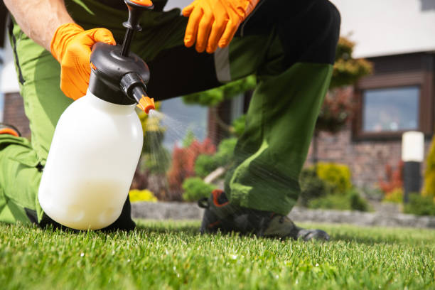 Best Best Pest Control Companies  in Three Rivers, TX