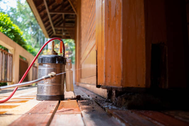 Best Cockroach Control Services  in Three Rivers, TX