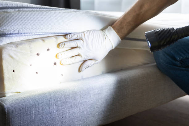 Best Best Pest Control Companies  in Three Rivers, TX