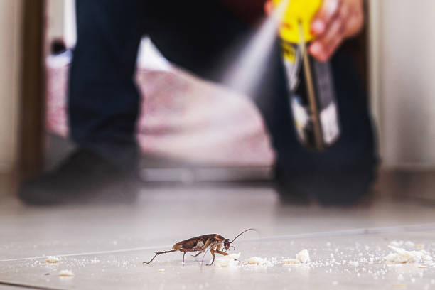 Pest Control Cost in Three Rivers, TX