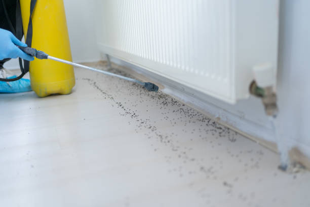 Best Bed Bug Extermination  in Three Rivers, TX