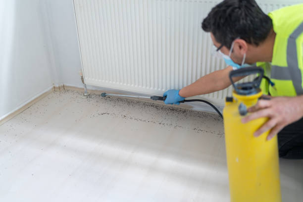 Best Ant Control Services  in Three Rivers, TX