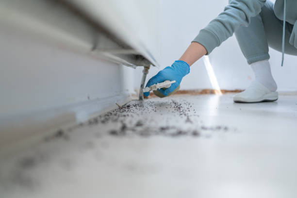 Best Insect Control  in Three Rivers, TX
