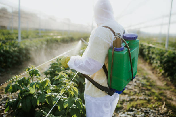 Reliable Three Rivers, TX Pest Control Solutions
